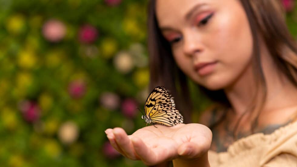 The Yellow Butterfly Spiritual Meaning Joy Transformation Hope