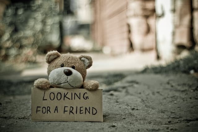 Losing friends during spiritual awakening: a teddy bear holding a sign which reads 'looking for a friend'.