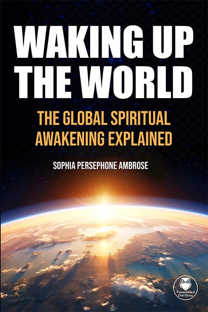 Waking up the world: picture of a book cover with the words 'waking up the world' and an image of the sun rising over planet Earth.